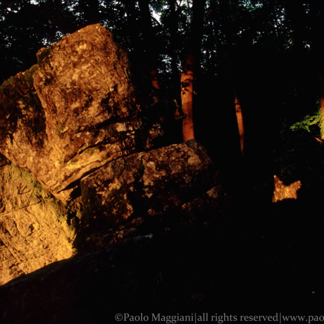 Caprione-Liguria-Laspezia-21-Giugno-Farfalla-di-Luce-dorata-Solstizio-d-estate-light-golden-butterfly-summer-solstice-june